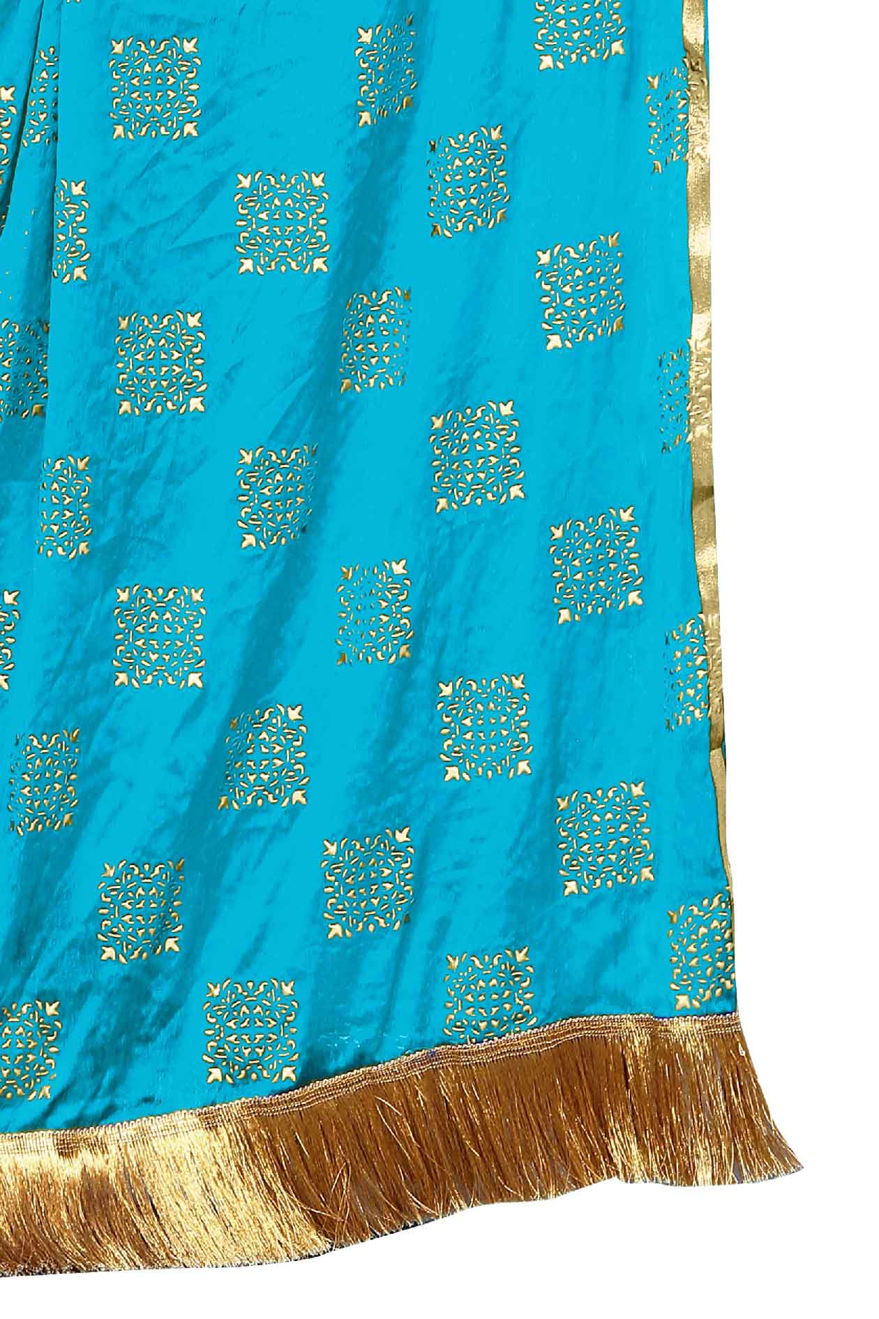 Women's Fancy Chiffon Printed Dupatta (Sky Blue)