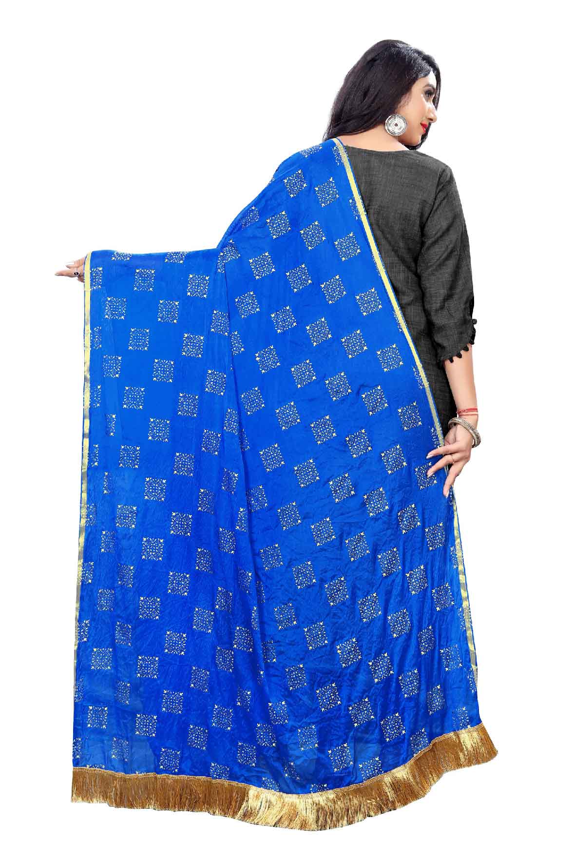 Women's Fancy Chiffon Printed Dupatta (Blue)